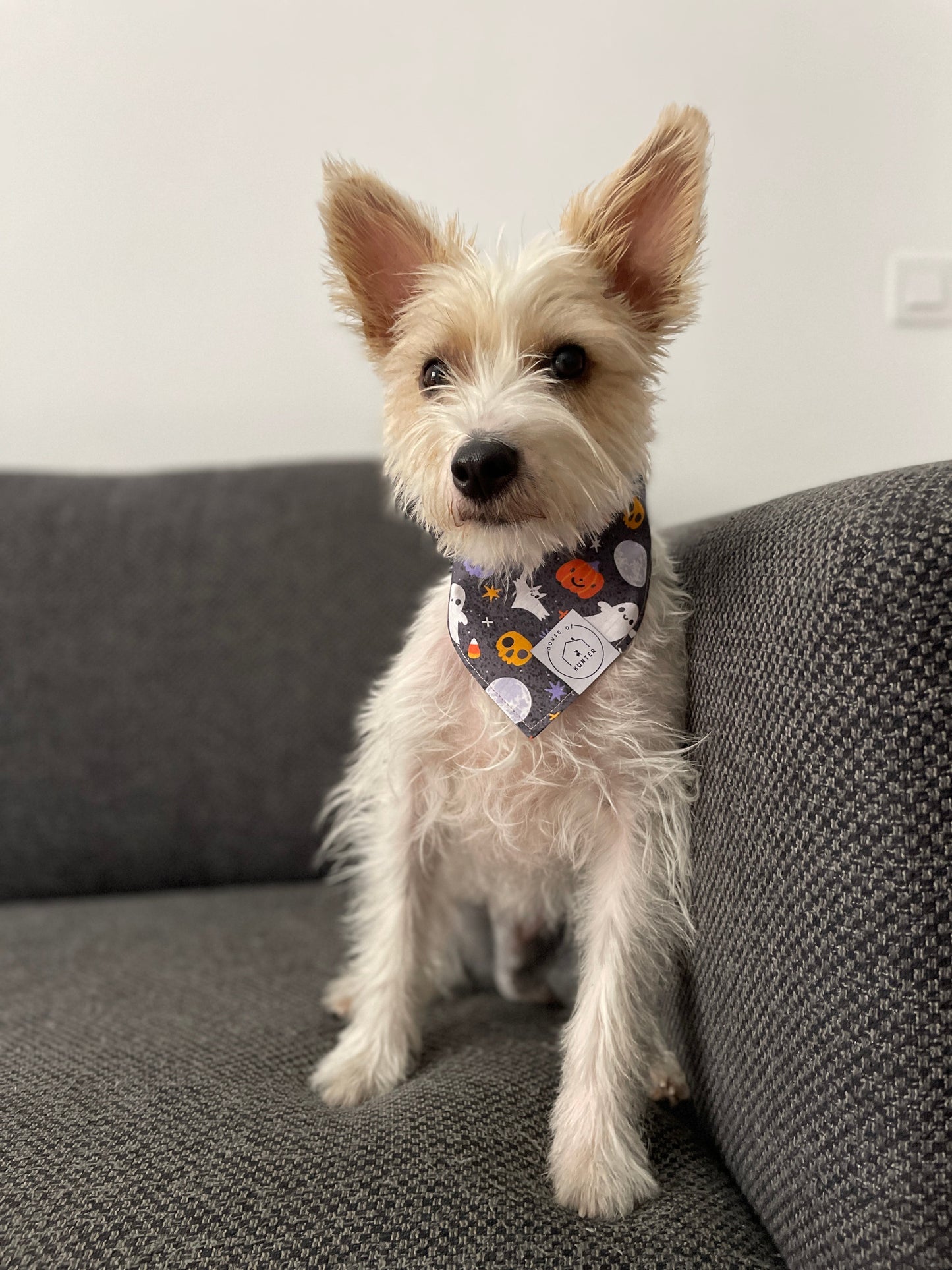 It's Howl-oween