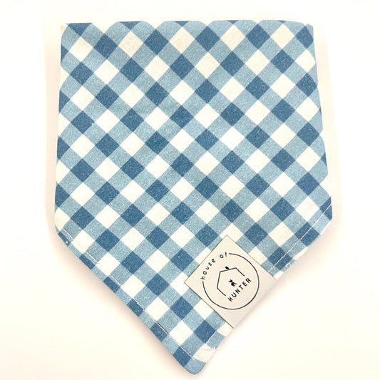 Go Gingham Blue