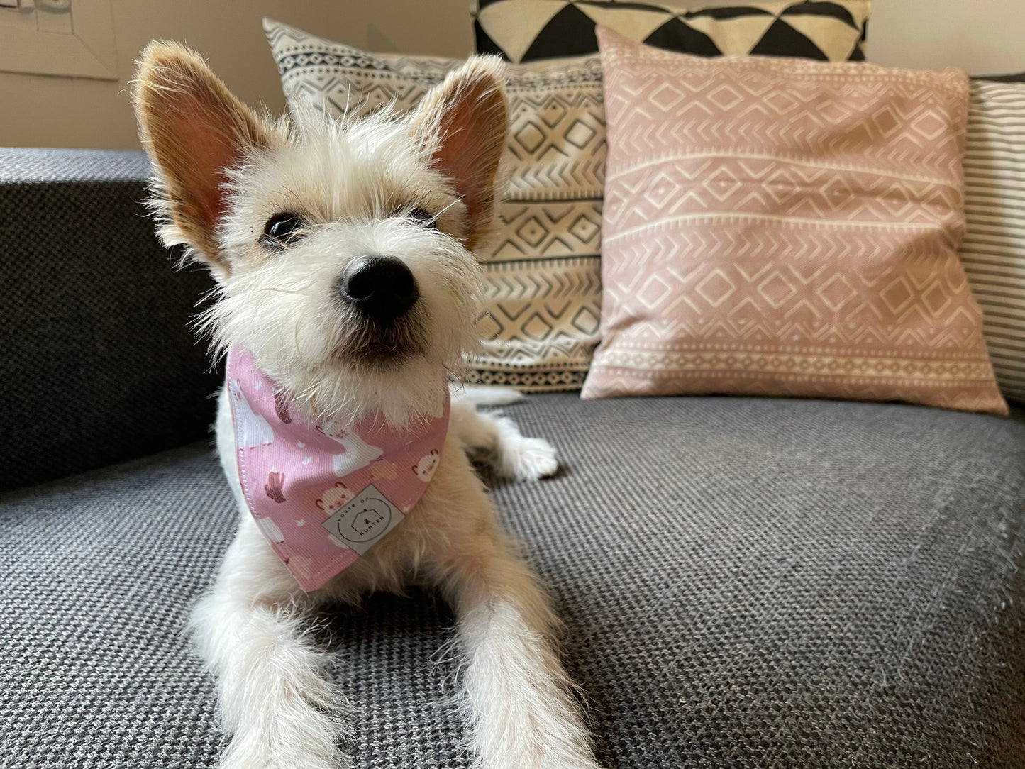 No Drama Llama Pink