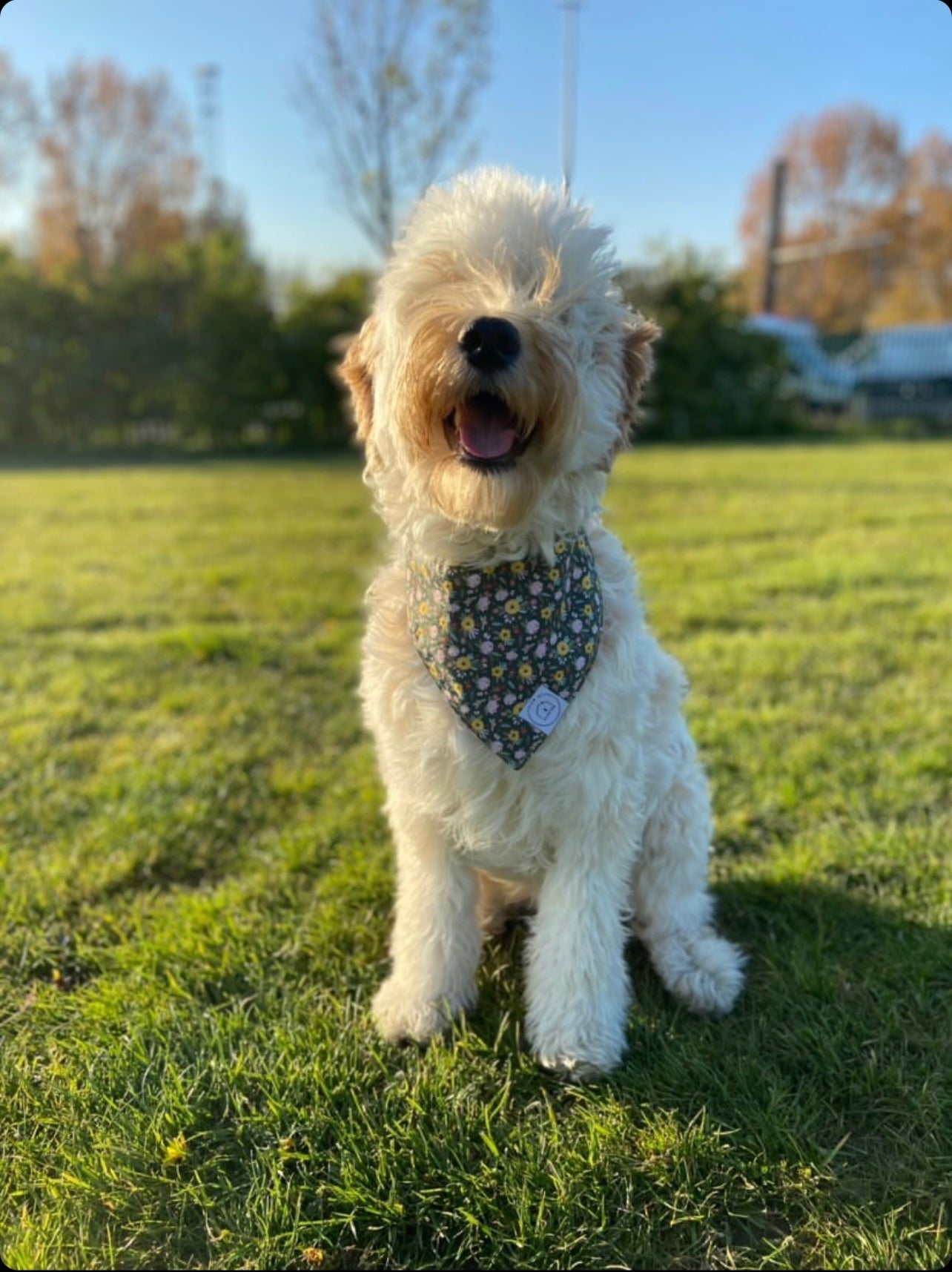 Spring Things