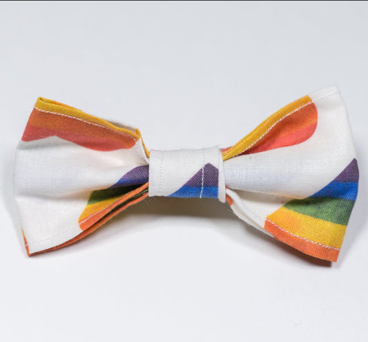 Love is Love Hair Clip